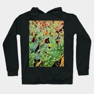 begonia plants Hoodie